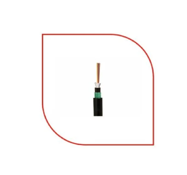 ProLink SM Fiber System 9/125 24Core Double Armor